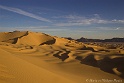 Dune Tenere 4336_wm
